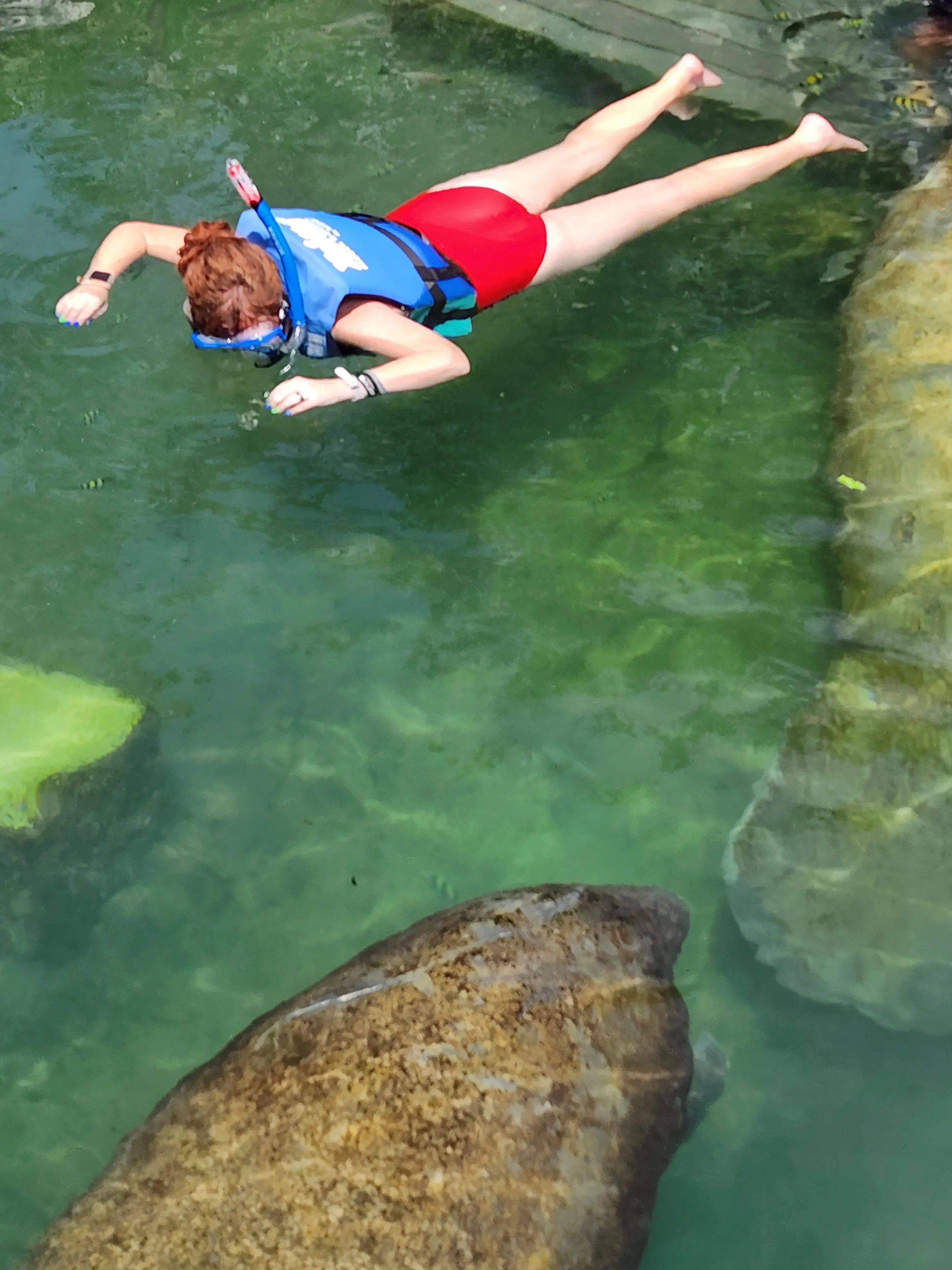 Anna - Swimming with Manatees