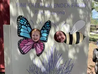 Levi and Claire as Beevi and Butterclair